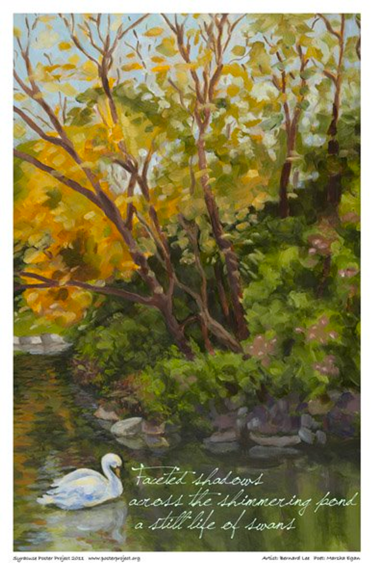 Faceted shadows
across the shimmering pond
a still life of swans A swan on a pond