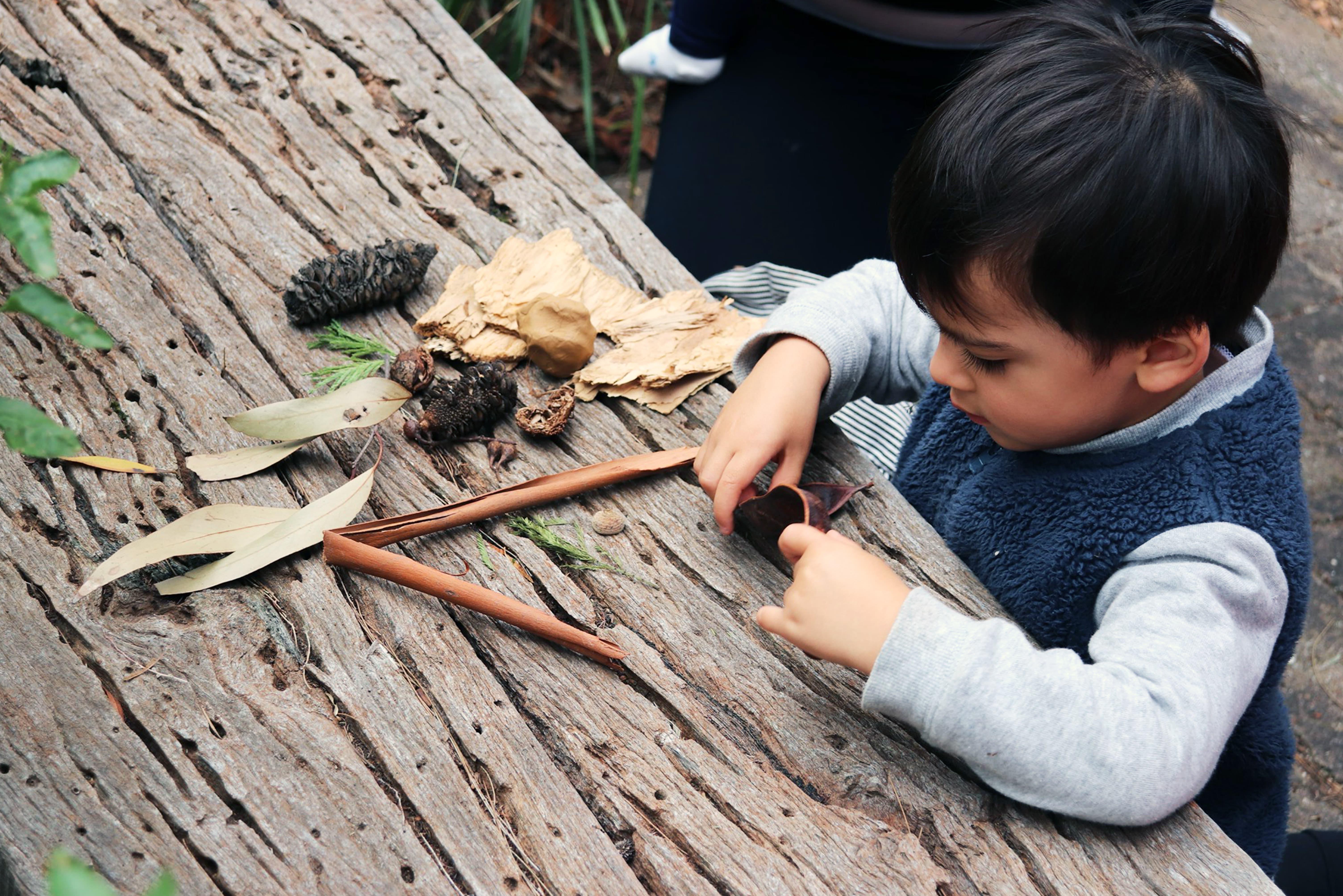 Unplugging and Connecting with Nature: Why Kids Need It