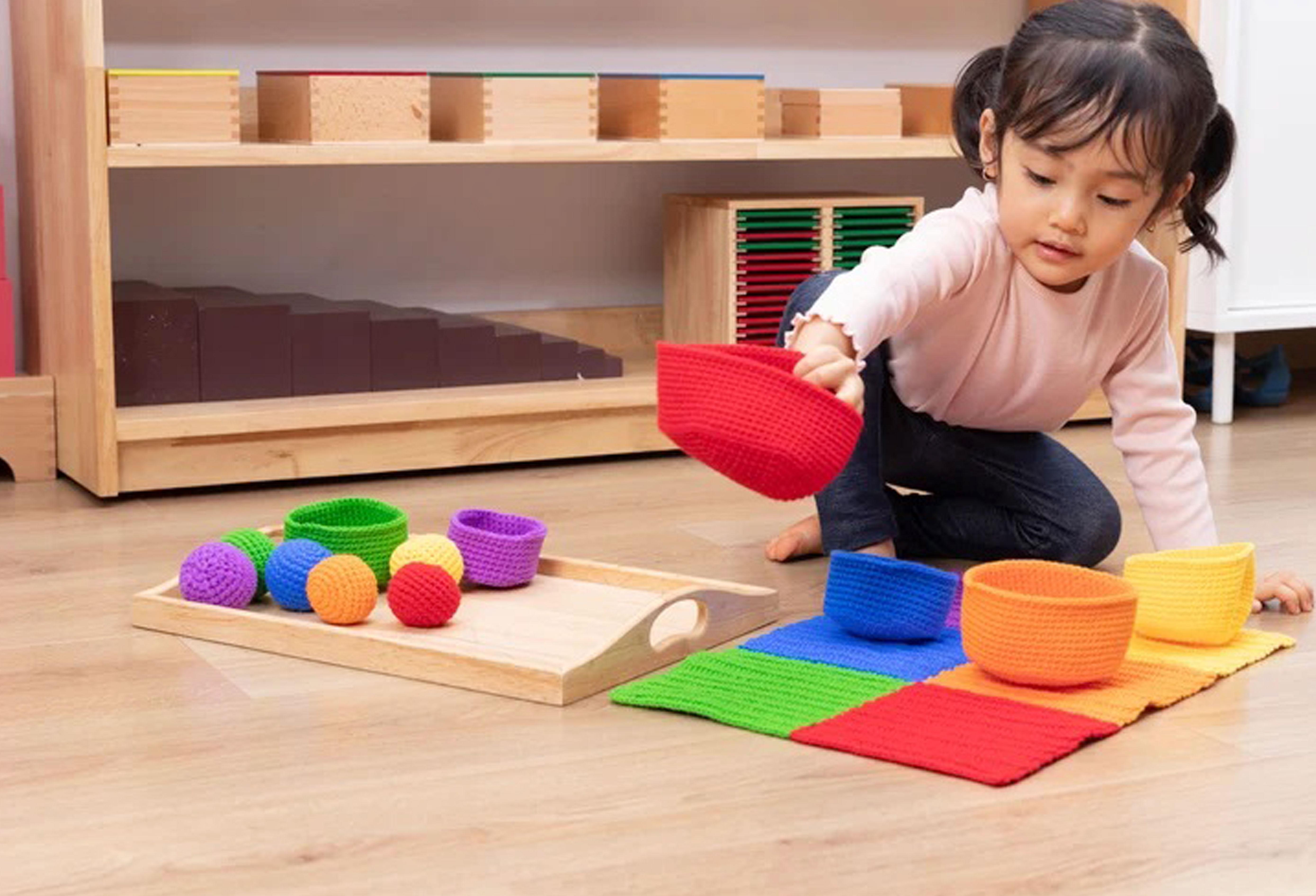 Montessori Activities - Sorting