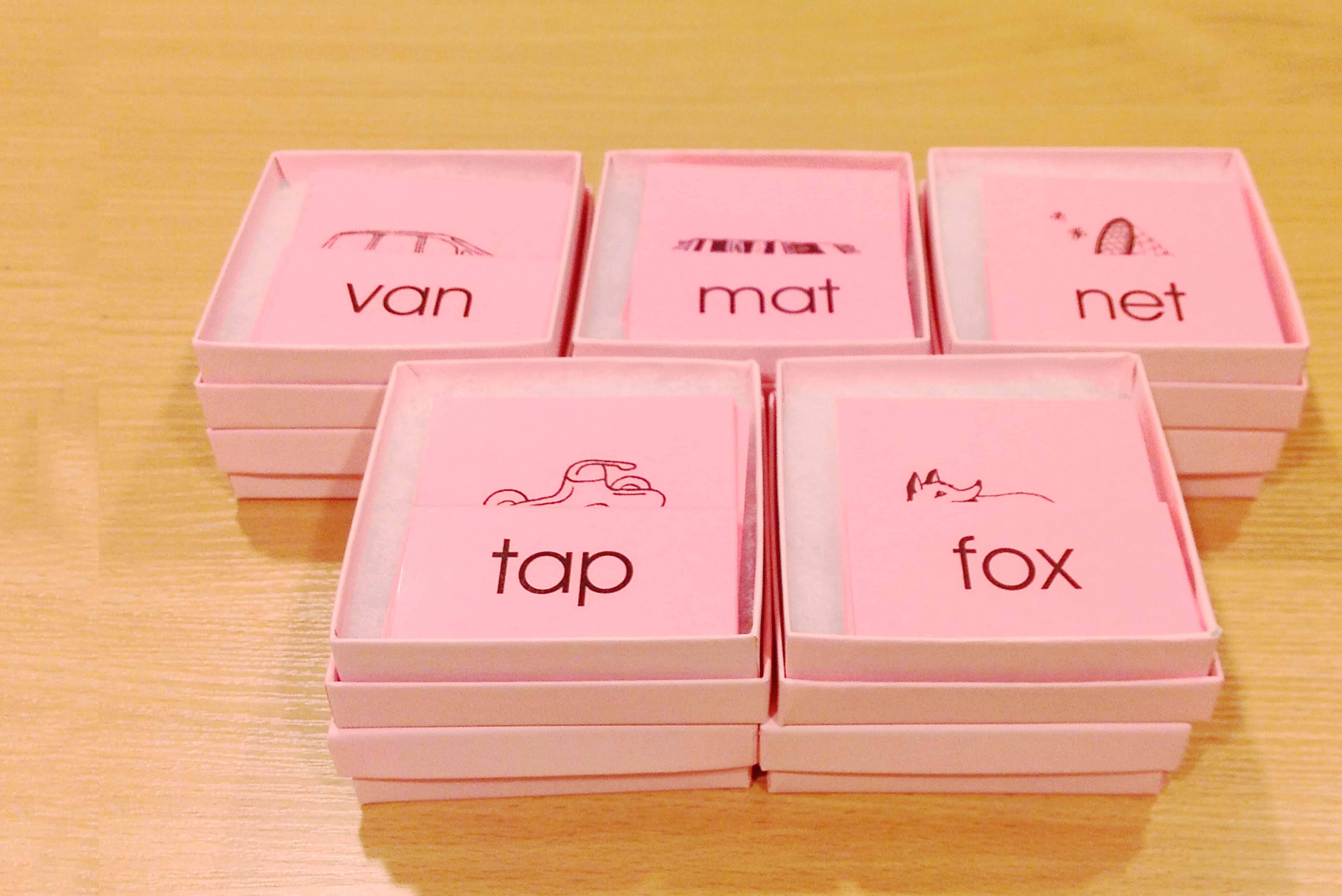 Montessori Materials Spotlight - Pink Series Word Cards