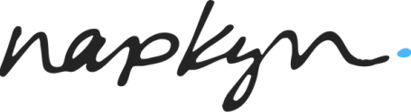 Napkyn Analytics Logo