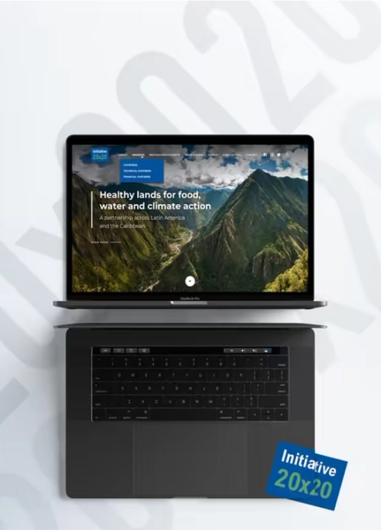 Darwin - WRI Initiative 20x20 homepage on a laptop