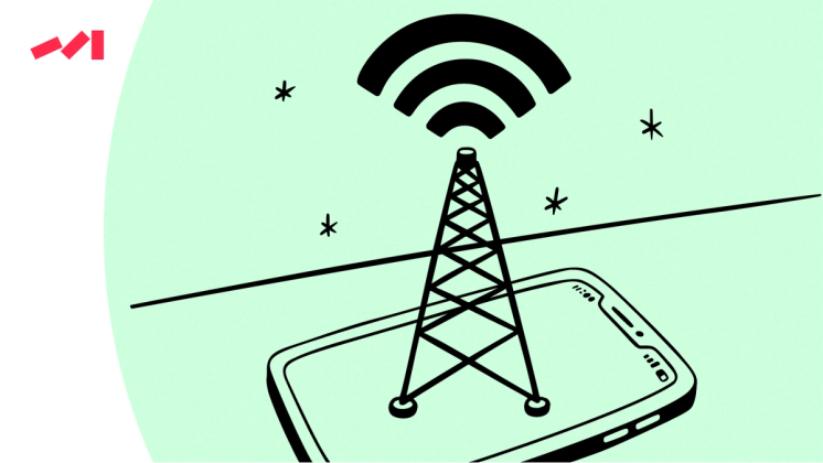 6786c17b8072994042a200b8_ip