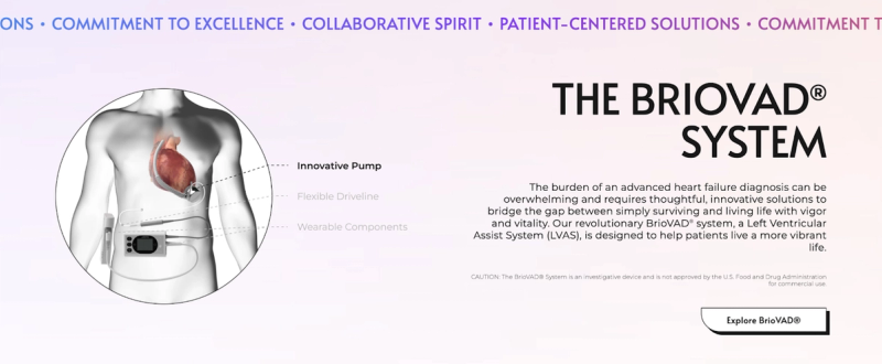 67f89343f9932c2350778242_AD_4nXceVaQ8NZNn9JFN84imHyxPBsx5KjbMU6PKaNLVcOE8YgSqppaCiY0sArTF3sV0hy0HJZ3dlPlnlm3_vrxc7vCv6T0UaJsZDfL1pRZiYBfggQIAm2LD4PoEOIxnCCXv8El7NfHkzg