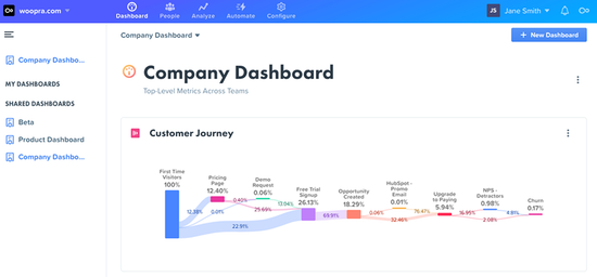 Woopra Interface