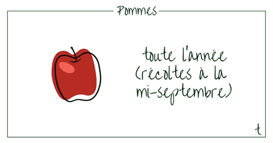 Article de test
