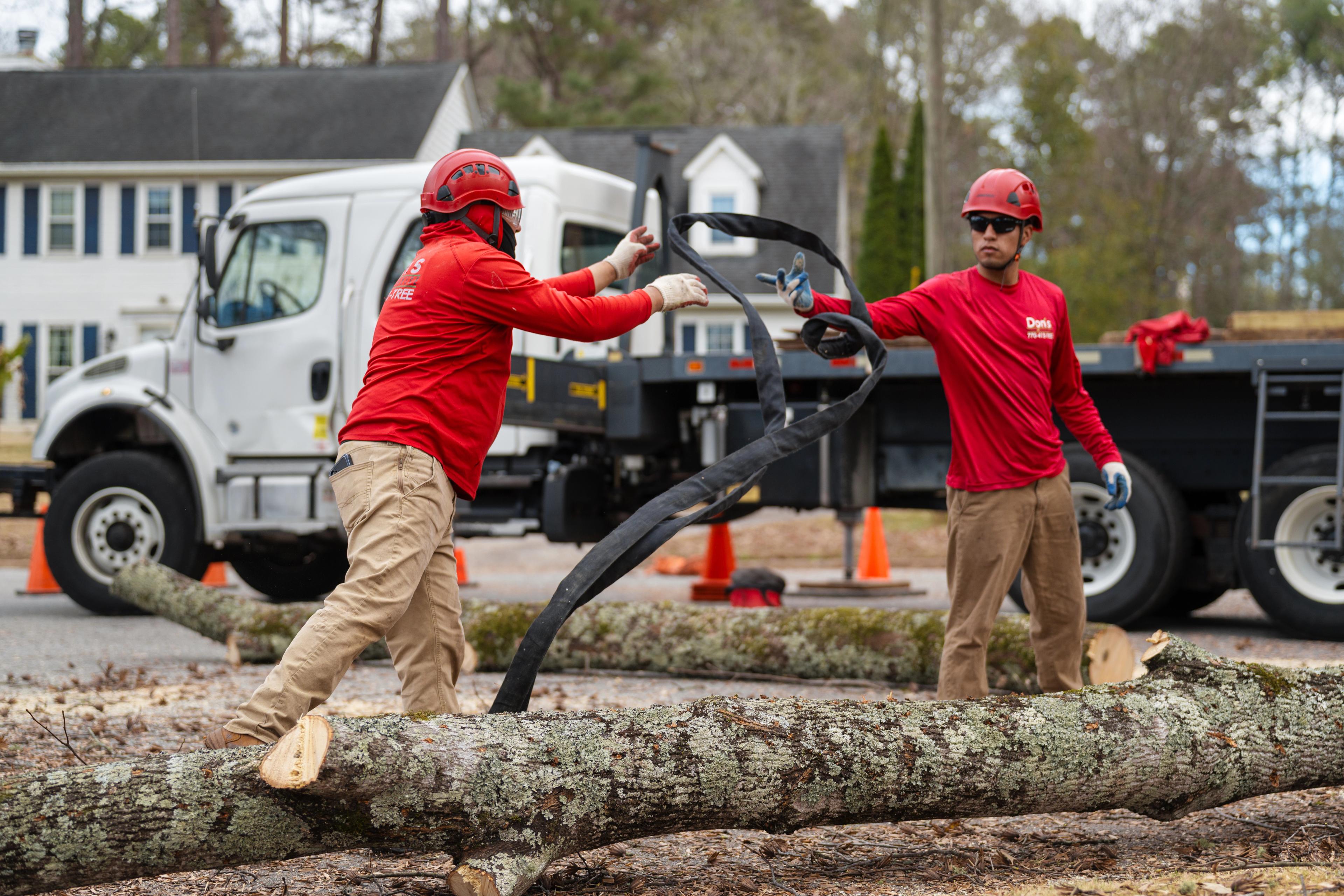 Don's Tree Service