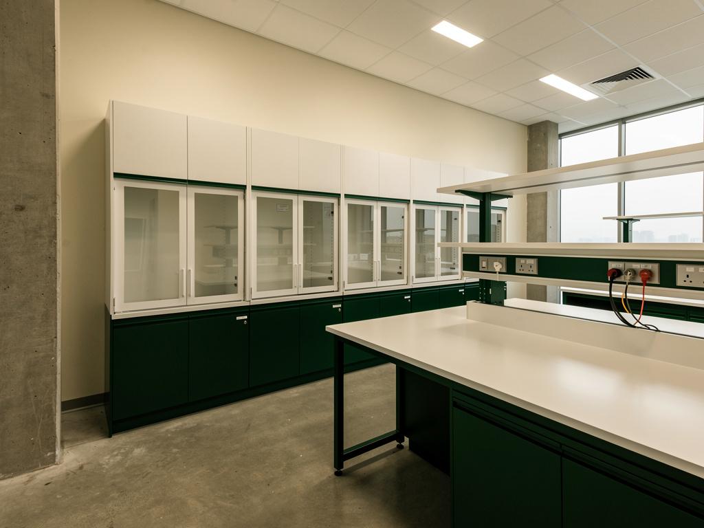 A completed laboratory with fume cupboards and service bulkheads, illustrative of the building type