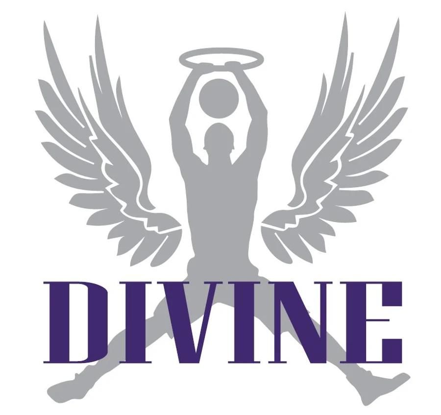 Divine logo with an angel wings and halo illustration