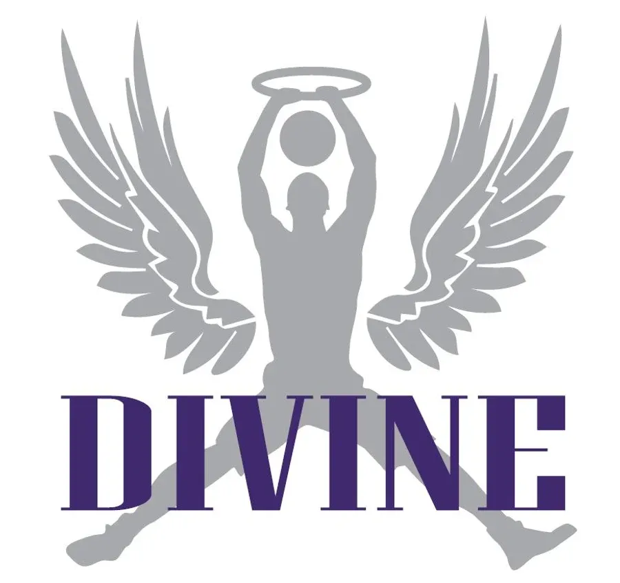 Divine logo with an angel wings and halo illustration