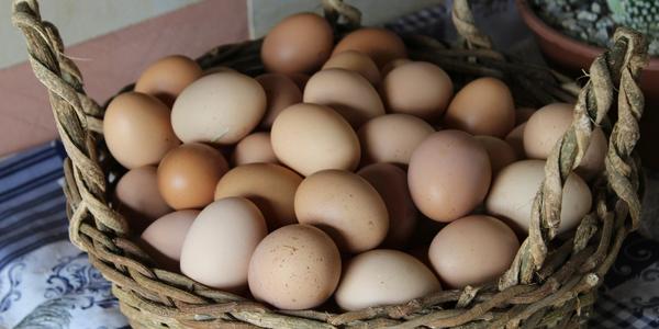 Eggs in brown whicker basket. Photo by @rebekahhowell00 in Unsplash