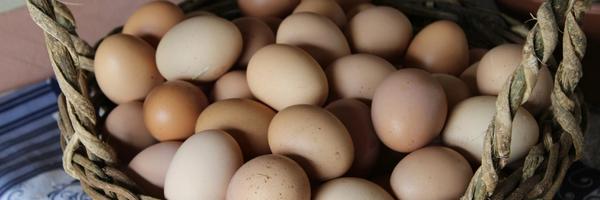 Eggs in brown whicker basket. Photo by @rebekahhowell00 in Unsplash