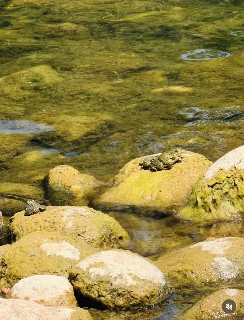 Les Gorges De L’Ardèche (Pont D’Arc)  