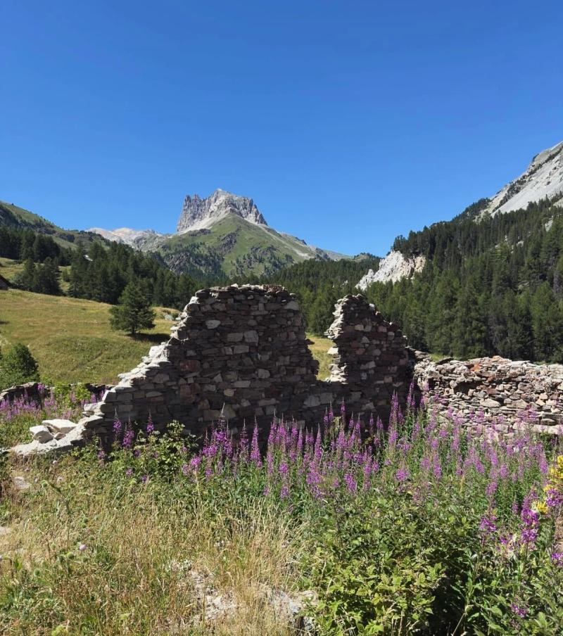 Le lac Vert Névache 