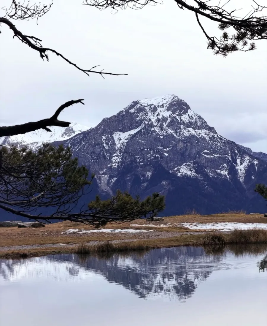 Image Le Lac Saint Apollinaire