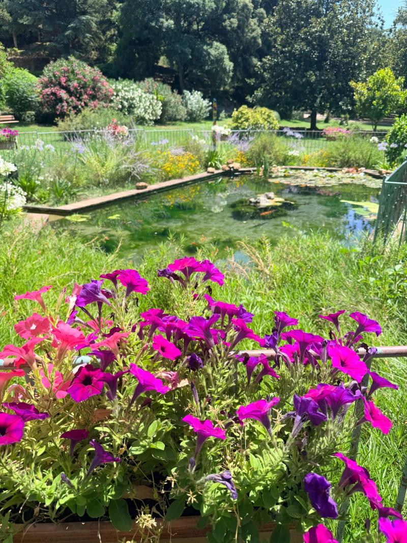 Le Jardin Troglodyte De Villecroze 