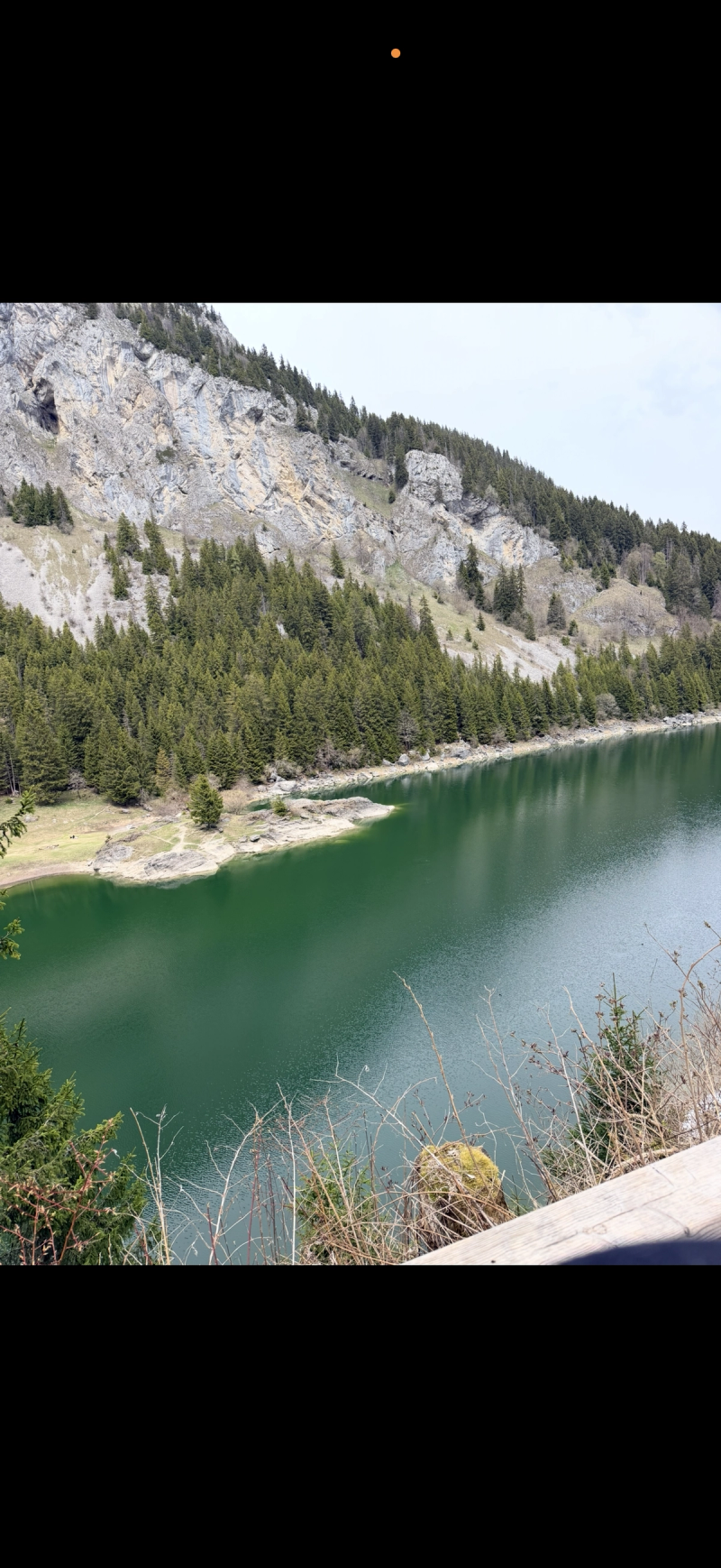 Le Lac De Taney