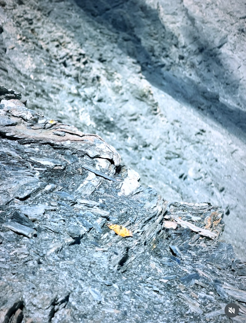Le Sommet De l'Aiguille  De La Grande Sassière 