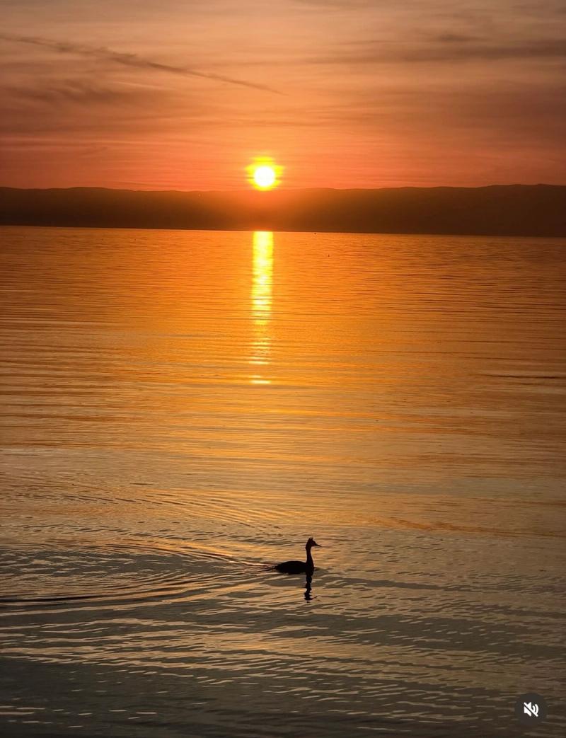 Sunset  Lac Léman 