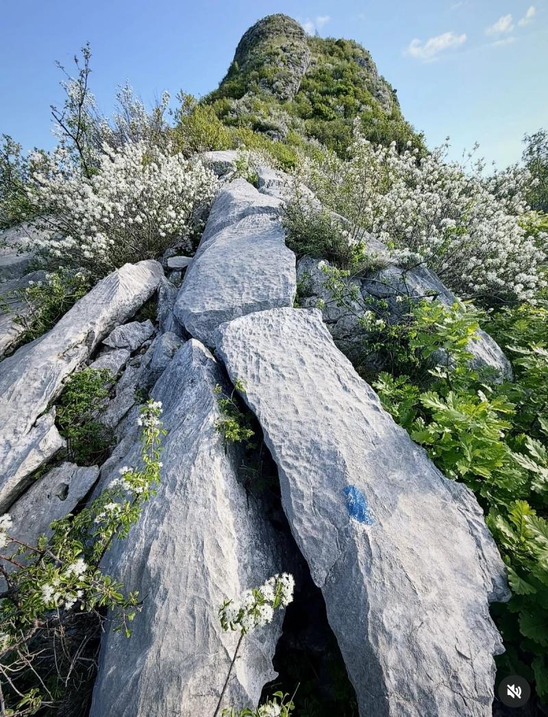 Le Sommet Le Néron 