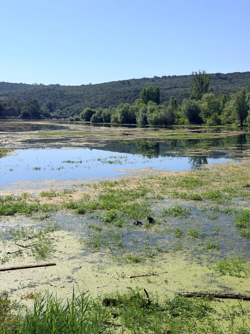 Le Lac (barrage) de Carcès 