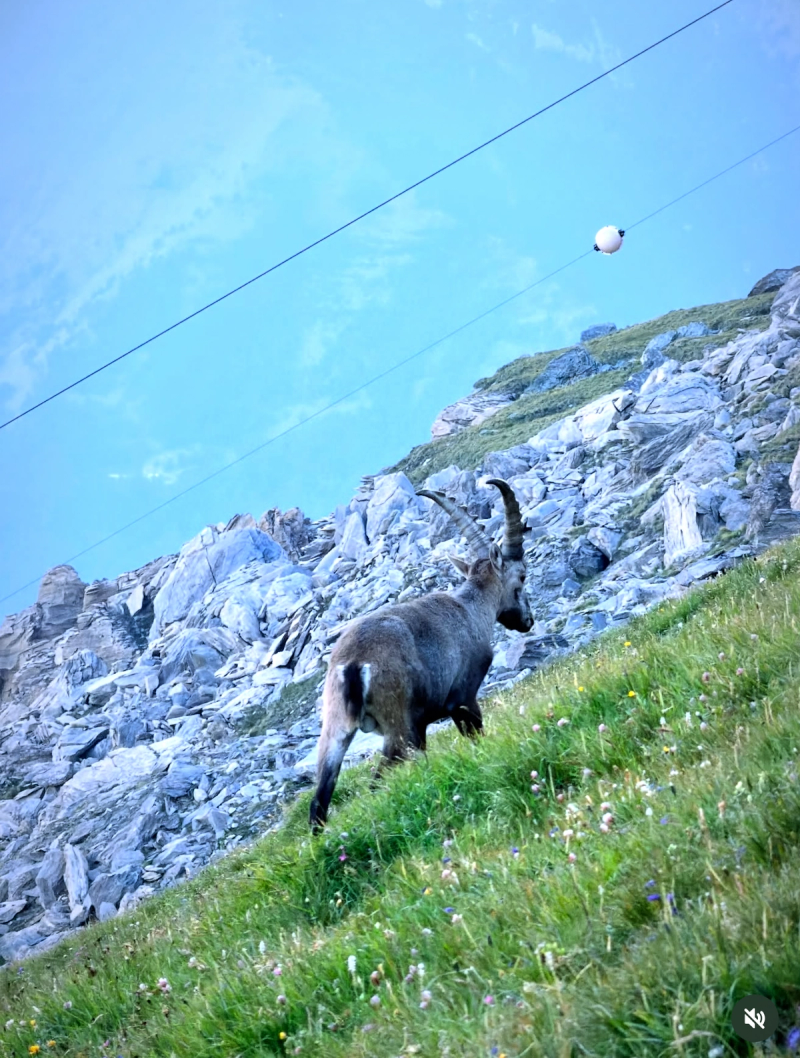 Le Sommet Du Rocciamelone Ou (Rochemelon)