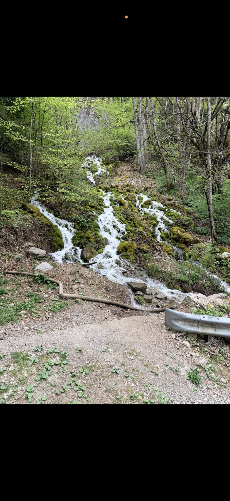 Le Lac De Taney