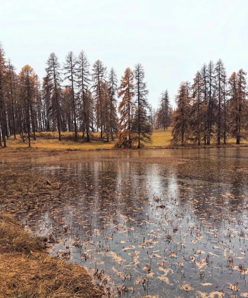 Le Lac De Roue 