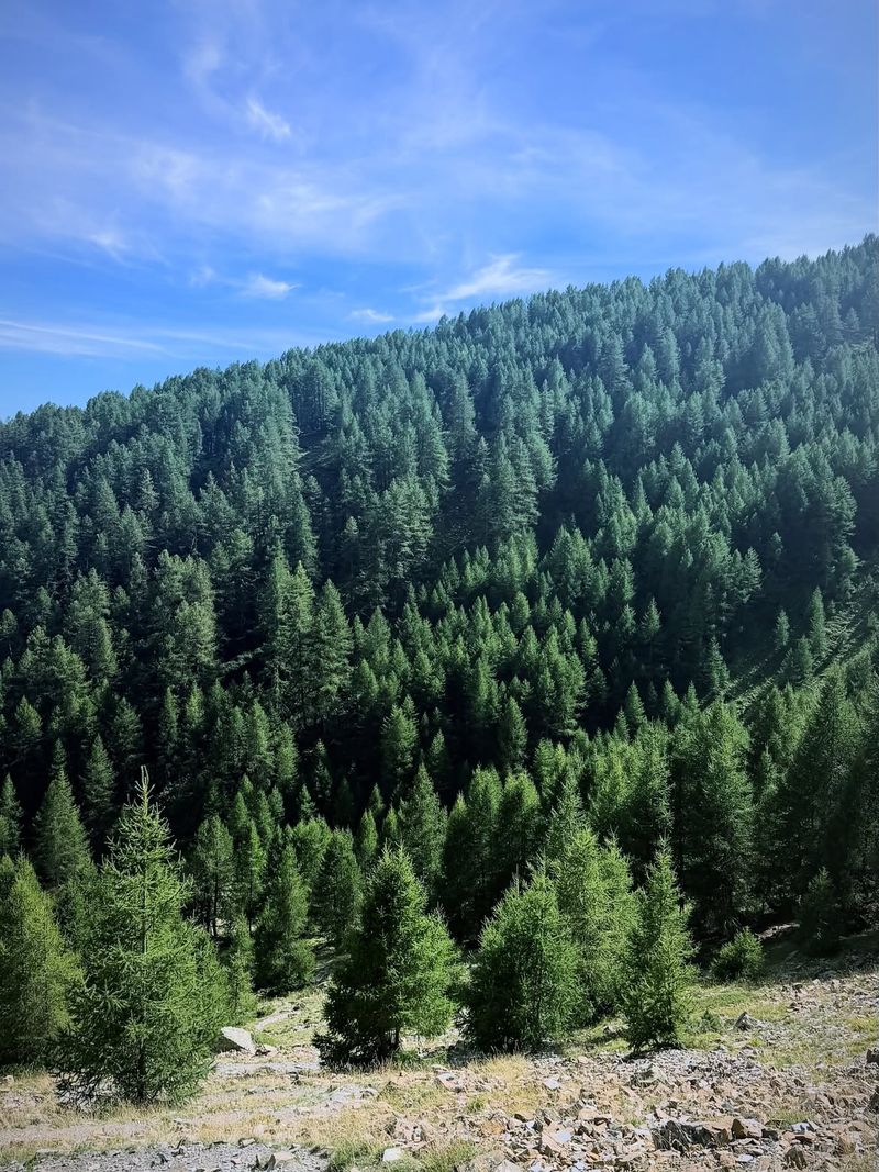 Le Lac De l'Hivernet