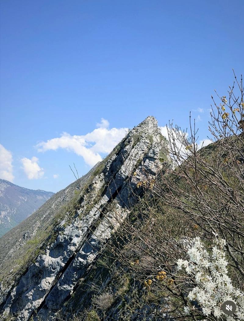 Le Sommet Le Néron 