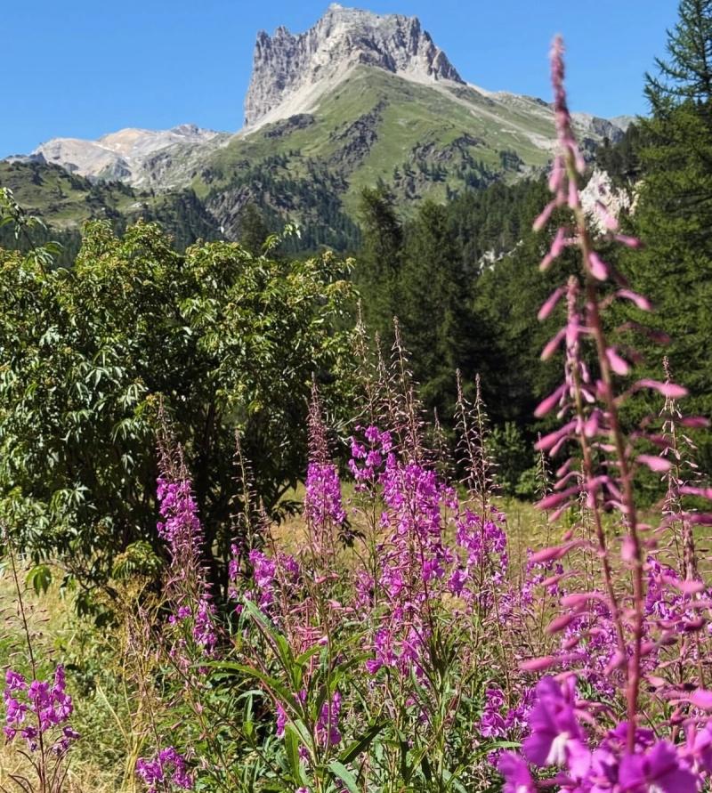 Le lac Vert Névache 