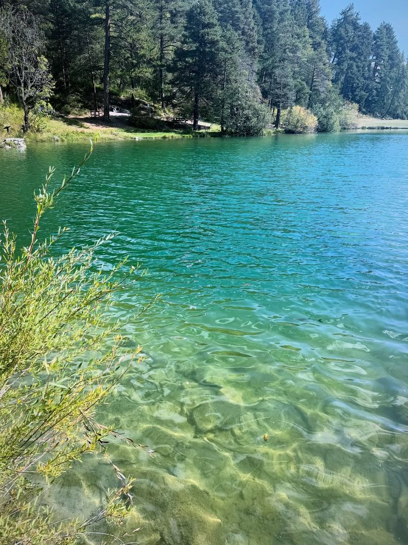 Le Lac Saint Apollinaire 