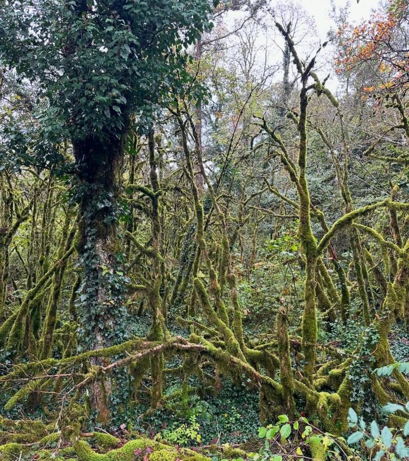 La Cascade De Cerveyrieu 