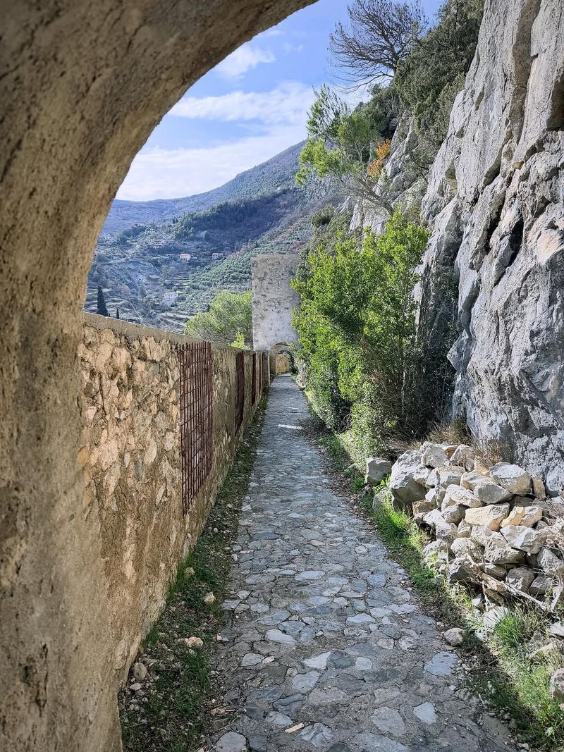 Le Village d'Entrevaux 