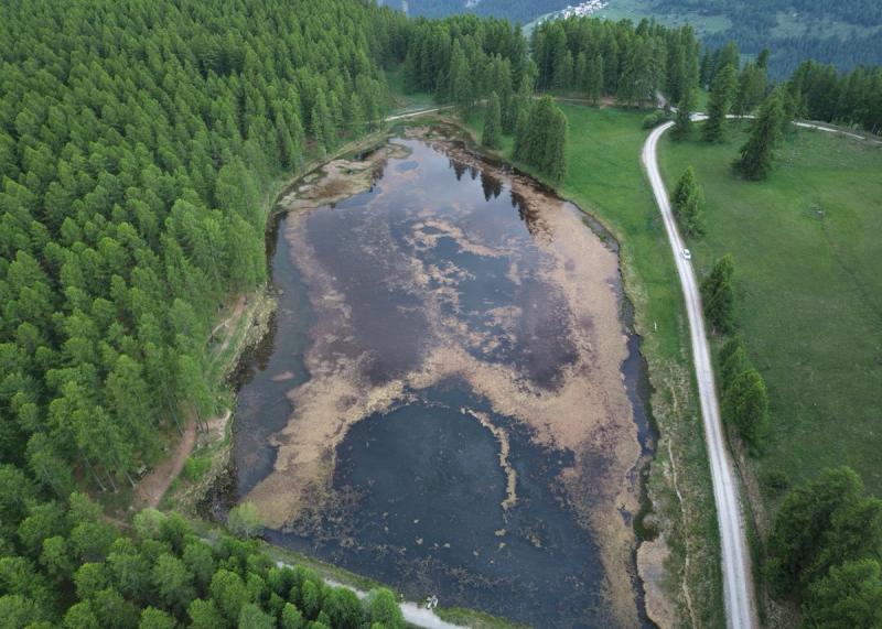 Le Lac De Roue 