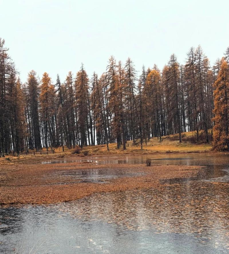 Le Lac De Roue 