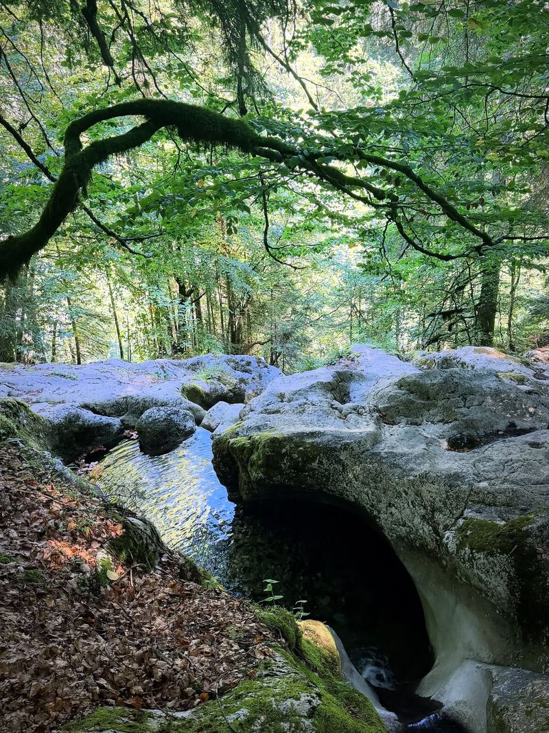 Les Marmites de Chartreux et (La Cascade Diomaz)
