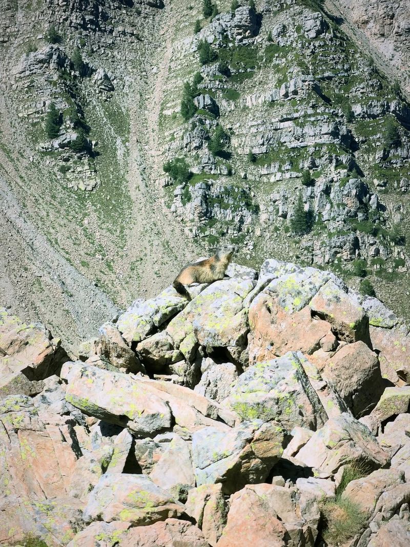 Le Sommet Du Mont Guillaume 
