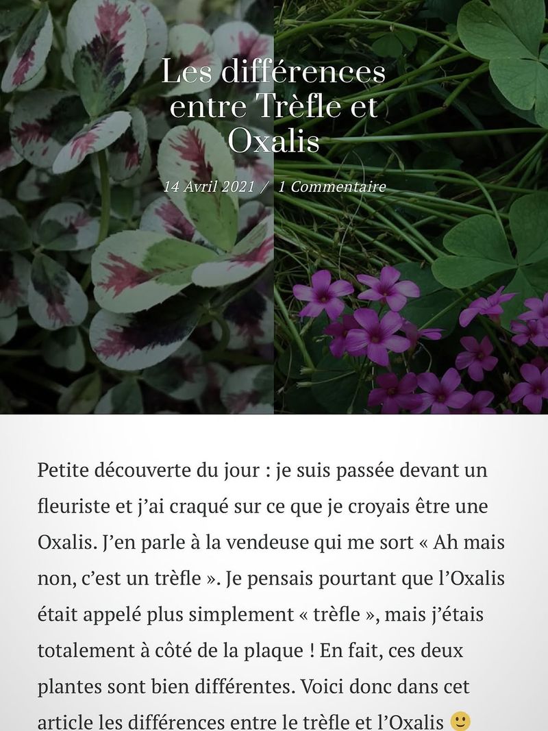 Le Village De Lurs 