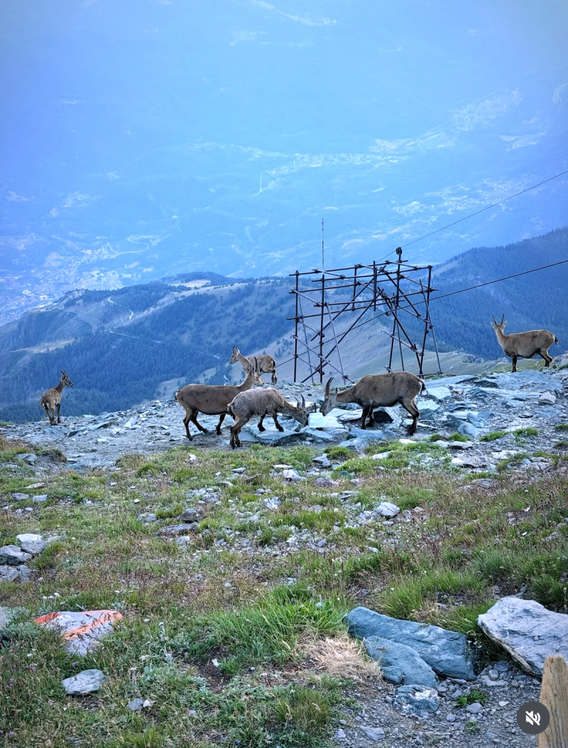 Le Sommet Du Rocciamelone Ou (Rochemelon)