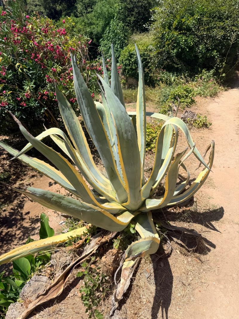 Le Jardin Troglodyte De Villecroze 