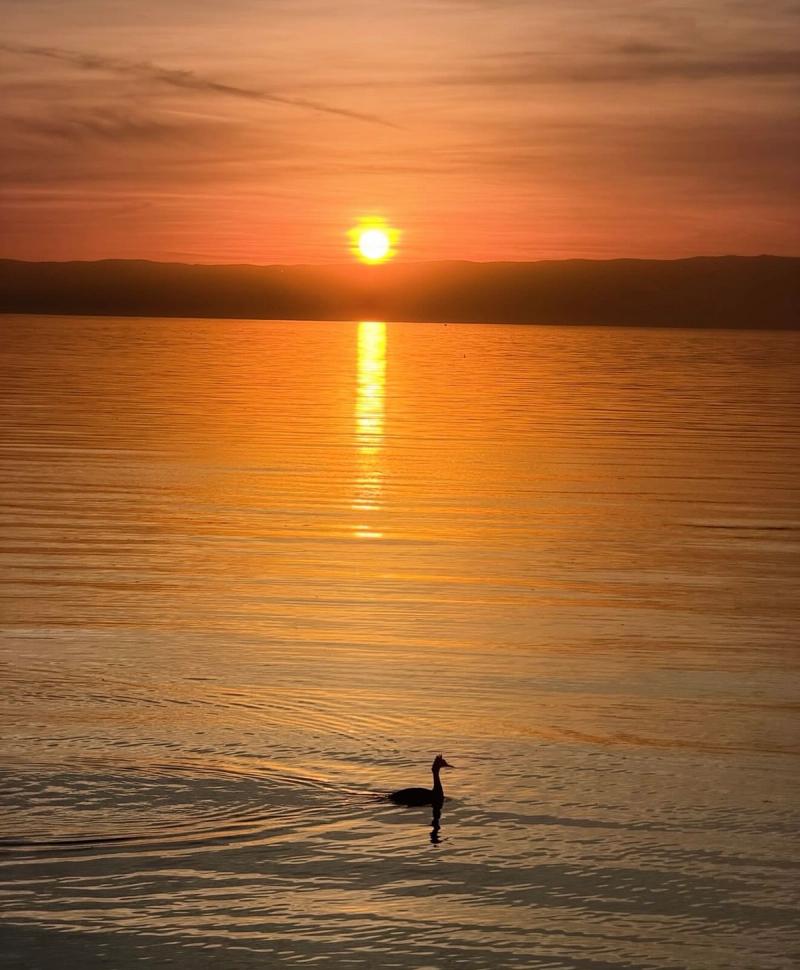 Le Lac De Taney