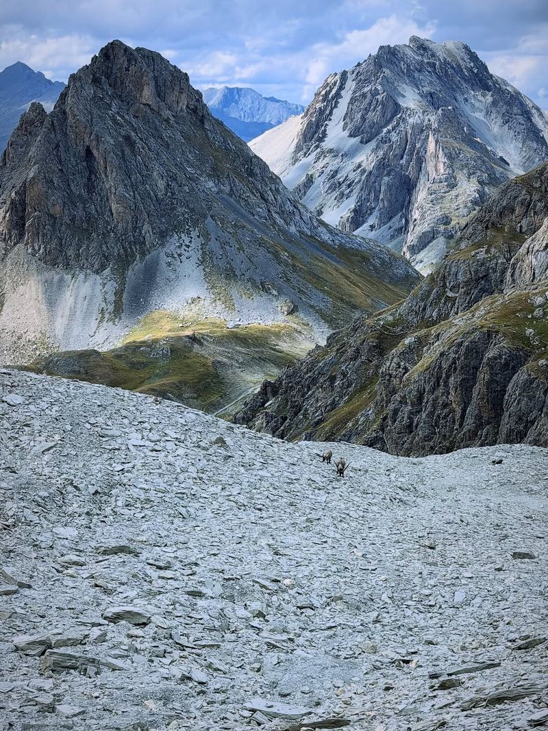 Le Sommet De la Pointe Des Cerces 