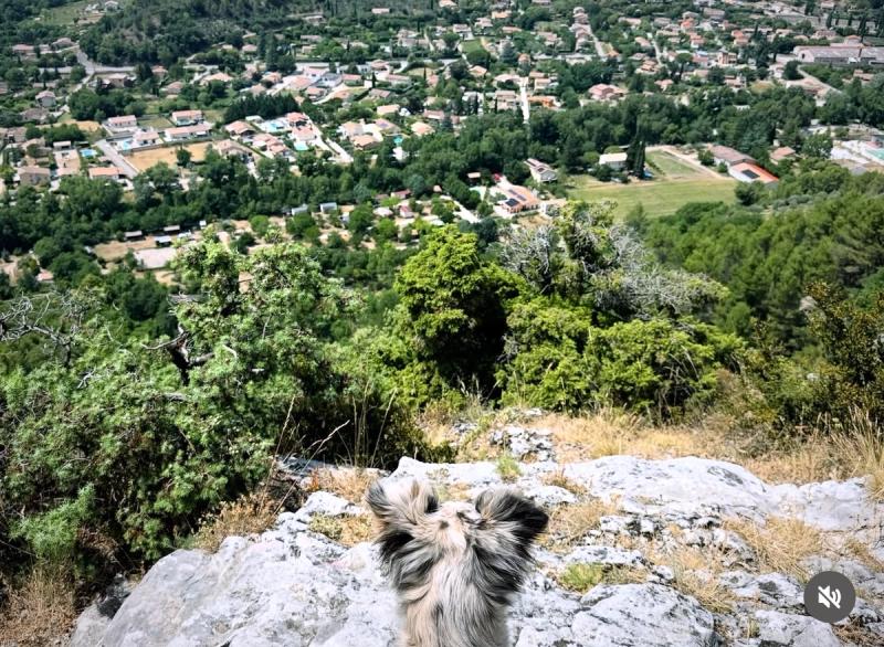 La Chapelle De Saint Trophime 
