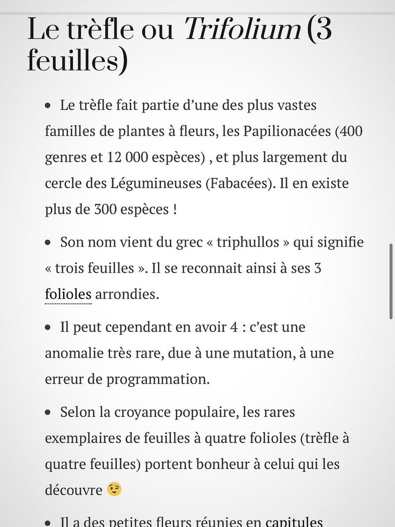 Le Village De Lurs 