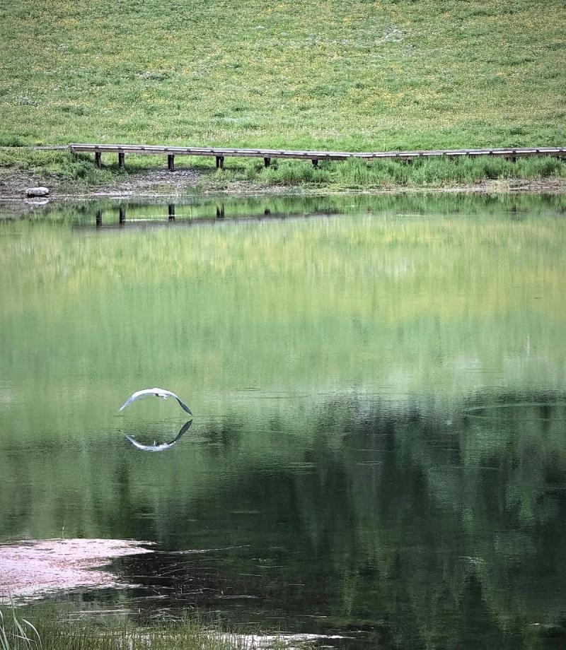Le Lac Des Confins