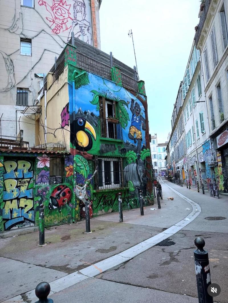 Street Art Marseille (Le Cours Julien) 