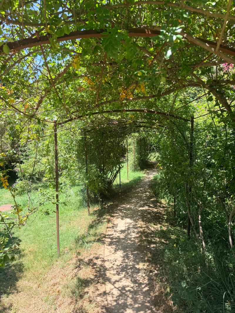 Le Jardin Troglodyte De Villecroze 