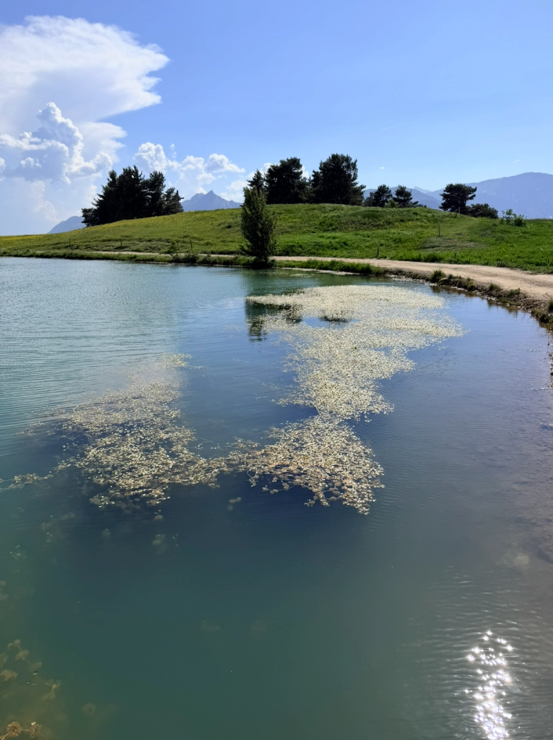 Le Lac De Barbeyroux