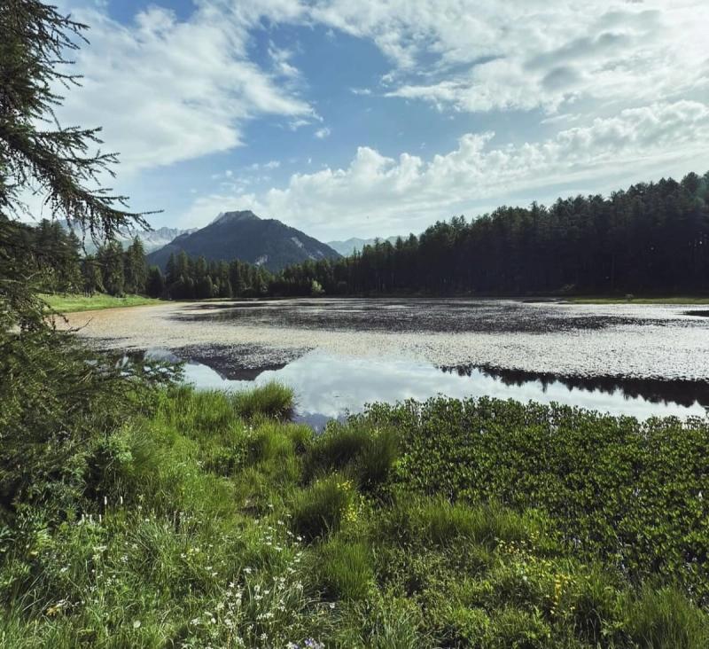 Le Lac De Roue 